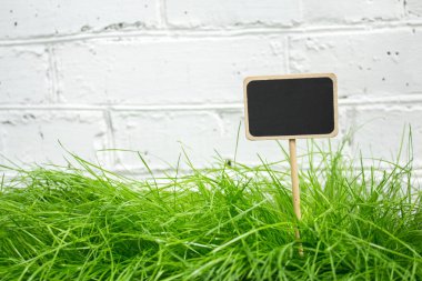 Yeşil çim kayrak iyi adam