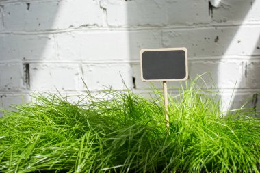 Yeşil çim kayrak iyi adam