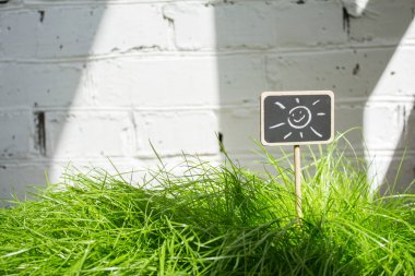 Yeşil çim kayrak iyi adam