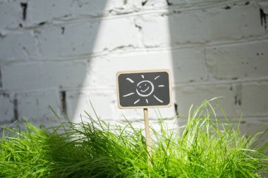 Yeşil çim kayrak iyi adam