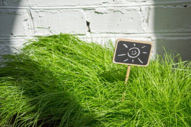 Yeşil çim kayrak iyi adam