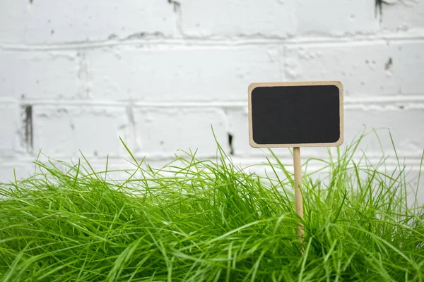 Yeşil çim kayrak iyi adam