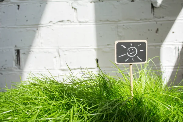 Yeşil çim kayrak iyi adam