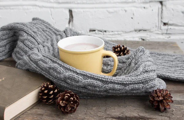 Cup of cocoa in a gray scarf