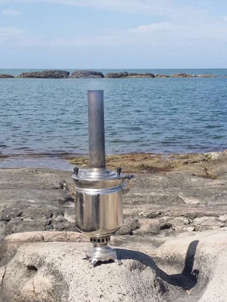 peygamber devesi böcek