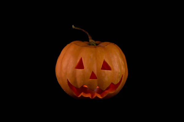 siyah arka plan üzerine kabak lamba