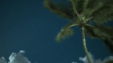 Palmiye ağacı ile bulutlar geçiyor