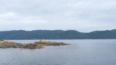 Ağaçları ile ifşa Adası