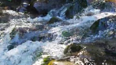 Su acele küçük rapids aşağı