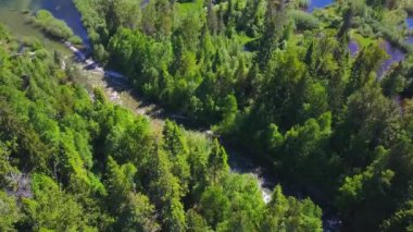 Su rapids göle gidiyor 