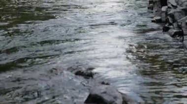 Rapids akan su 