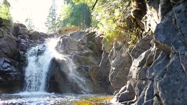 Big waterfall flowing water into lake — Stock Video