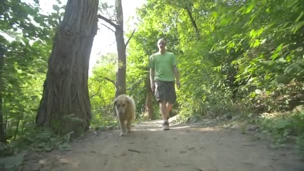 Mężczyzna właściciel spaceru z psem — Wideo stockowe