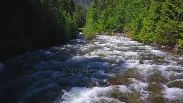 Water reizen langs water rapids — Stockvideo