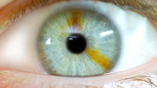 Eye Zoom Into Black Pupil — Stock Video