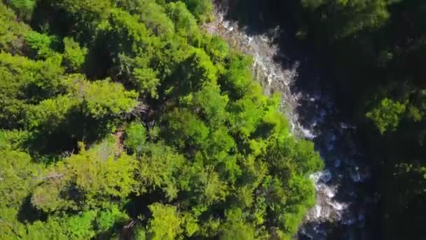 Topikal görüş acele su rapids gösteriler — Stok video