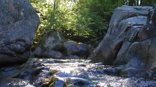 Вода рухається вниз по річці біля великих скель — стокове відео