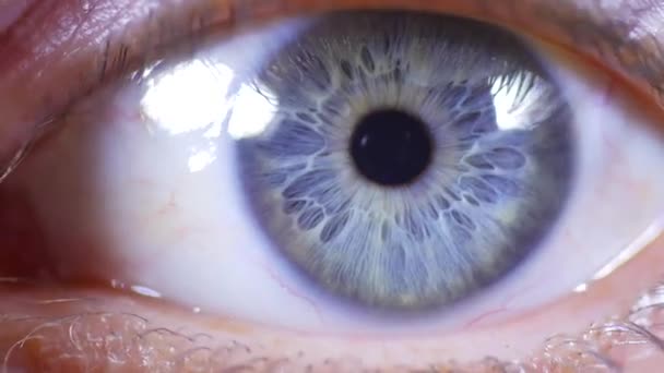 Macro close-up van vrouwelijke oog — Stockvideo