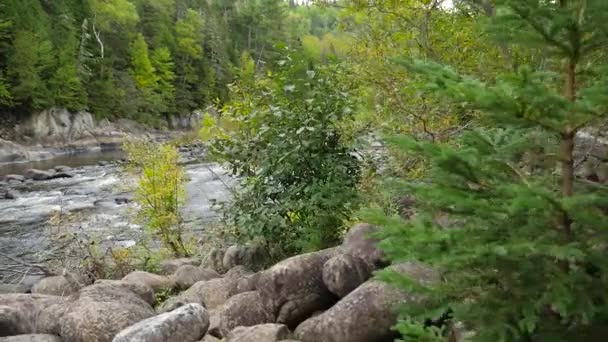 Wideshot of shallow water rushing down — Stock Video