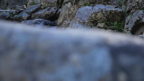 Water flowing down — Stock Footage Water flowing down Royalty Free Stock Video
