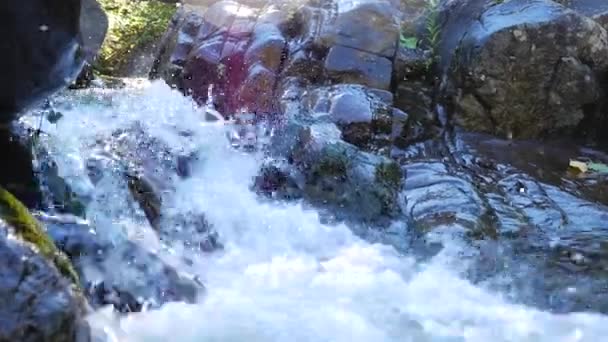 Μικρό rapids με γρήγορη κίνηση νερού — Αρχείο Βίντεο