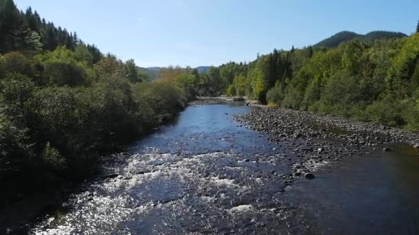 Agua que fluye río abajo — Vídeos de Stock