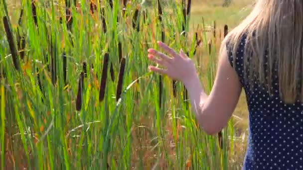 Vrouw lopen naast hoog gras — Stockvideo