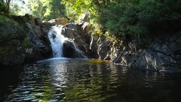 Wasserfall in einen See — Stockvideo