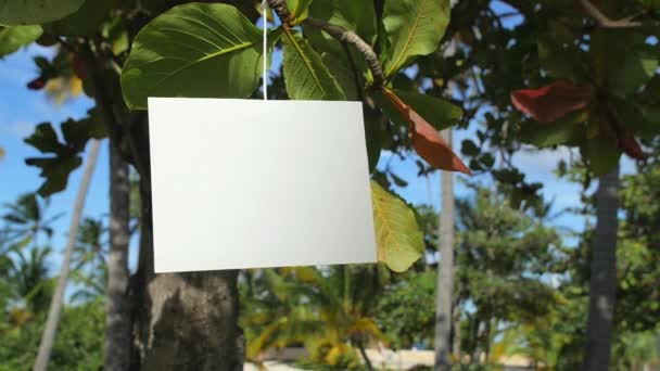 Tarjeta blanca en blanco colgando — Vídeos de Stock