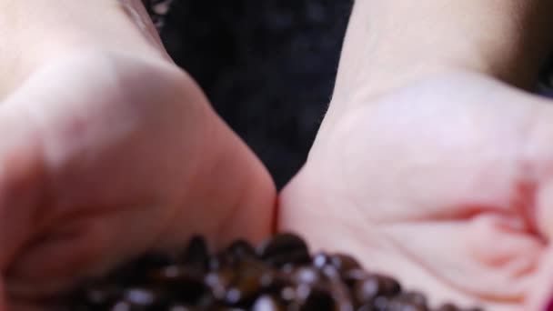 Mani femminili tiene chicchi di caffè — Video Stock