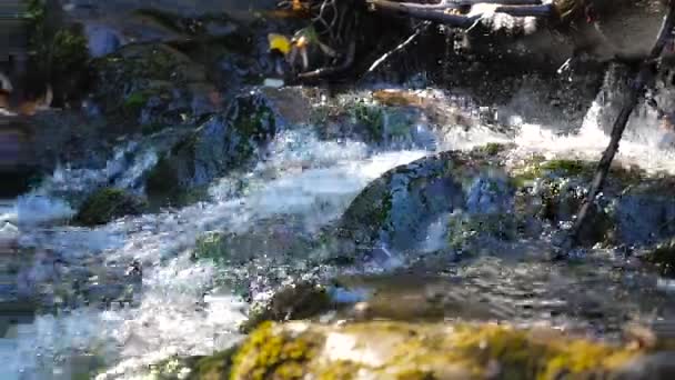 Вода кидається вниз по невеликих порогах — стокове відео