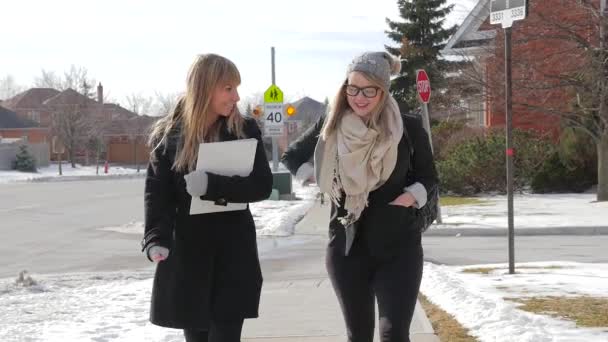 Twee jonge vrouwen lopen — Stockvideo
