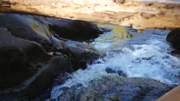 Μικρό rapids με πολλά βράχια — Αρχείο Βίντεο