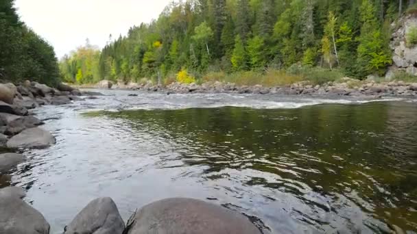 Вода кидається вниз потік — стокове відео