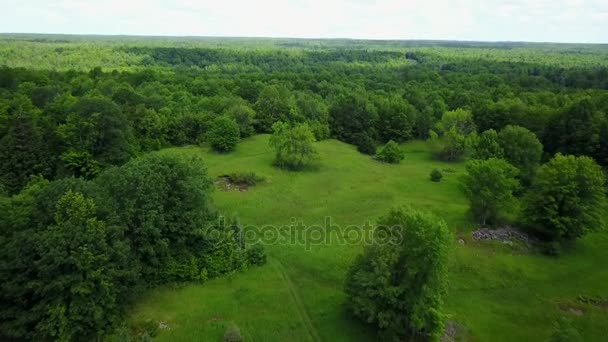 Volando sobre el área verde — Vídeo de stock