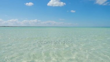 Sığ su altında tropikal kum