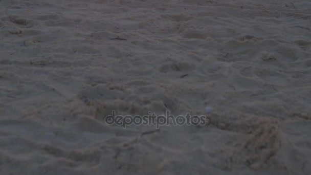 Карибский пляж на закате — стоковое видео