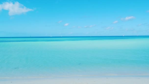 아름 다운 카리브 바다 — 비디오