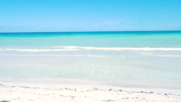 Ocean On A Caribbean Tropical Beach — Stock Video