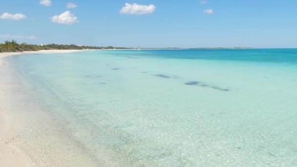 Se déplacer le long de la plage tropicale — Video