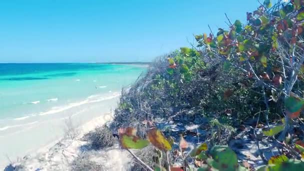 Aqua χρώμα καραϊβικού ωκεανού — Αρχείο Βίντεο