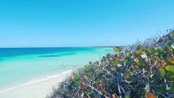 Oceano caraibico e spiaggia — Video Stock