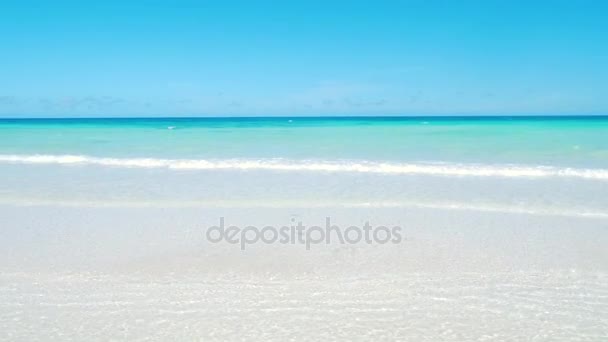 Plage des Caraïbes avec ciel bleu — Video