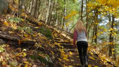 Ormandaki genç kadın Hiking