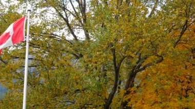 Kanada bayrağı sallayarak