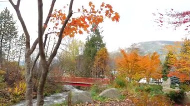 Aşağı akım akan su Rapids