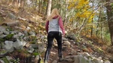 Ormandaki genç kadın Hiking