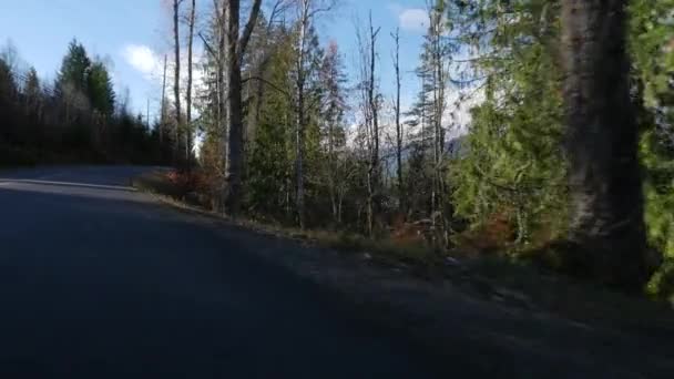 Bosque de Columbia Británica con montañas — Vídeos de Stock