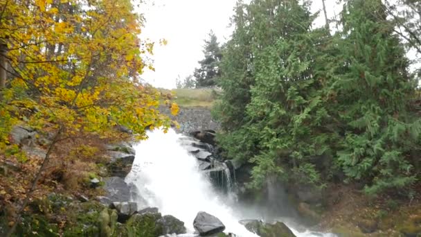 Vatten Fall rusar ner ström — Stockvideo