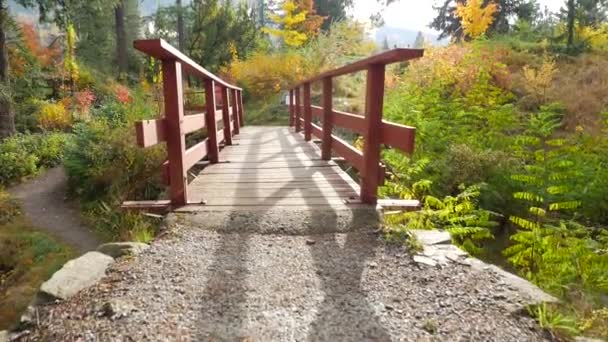 Moving Along Bridge Walkway — Stock Video